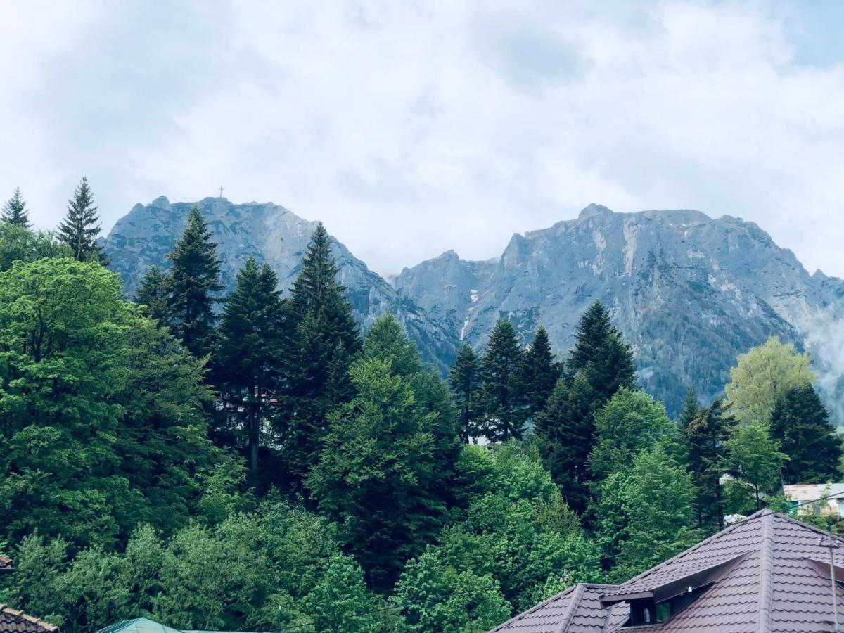 Pensiunea Sport Szászbuda Kültér fotó